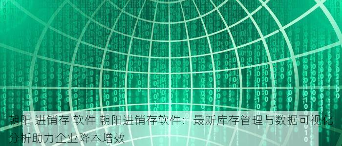 朝阳 进销存 软件 朝阳进销存软件：最新库存管理与数据可视化分析助力企业降本增效