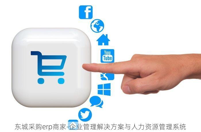 东城采购erp商家-企业管理解决方案与人力资源管理系统