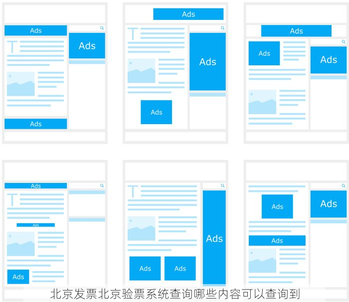 北京发票北京验票系统查询哪些内容可以查询到