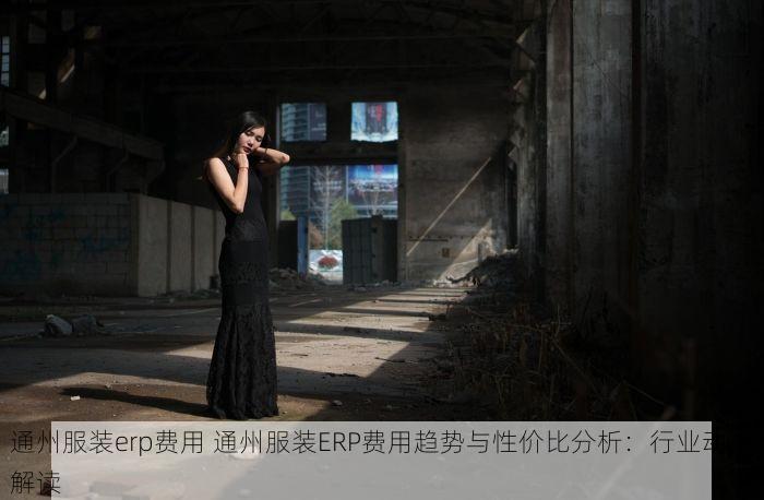 通州服装erp费用 通州服装ERP费用趋势与性价比分析：行业动态解读