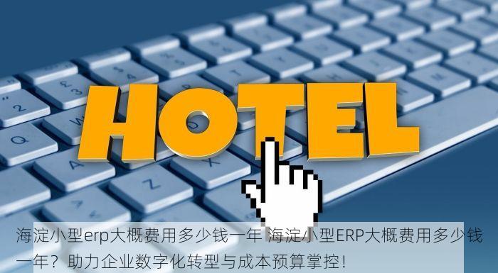 海淀小型erp大概费用多少钱一年 海淀小型ERP大概费用多少钱一年？助力企业数字化转型与成本预算掌控！