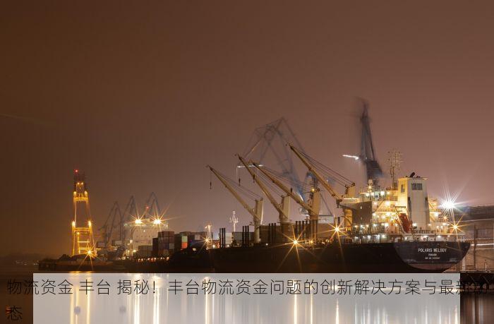 物流资金 丰台 揭秘！丰台物流资金问题的创新解决方案与最新动态