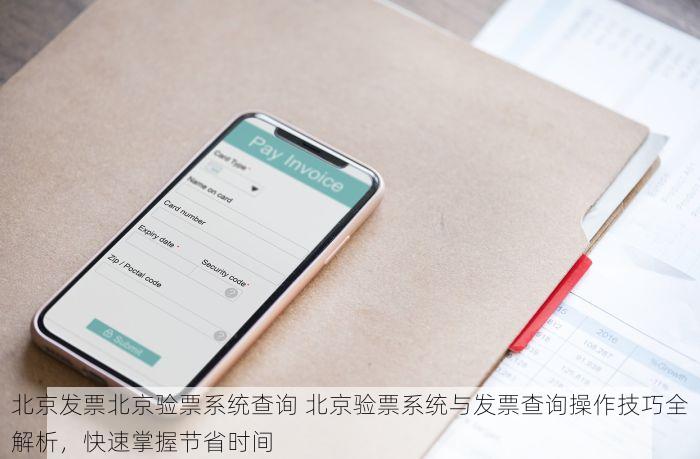 北京发票北京验票系统查询 北京验票系统与发票查询操作技巧全解析，快速掌握节省时间