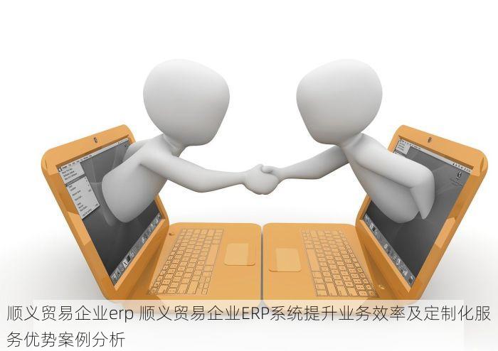 顺义贸易企业erp 顺义贸易企业ERP系统提升业务效率及定制化服务优势案例分析