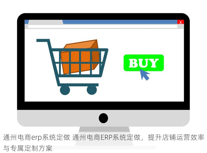 通州电商erp系统定做 通州电商ERP系统定做，提升店铺运营效率与专属定制方案