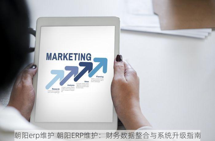 朝阳erp维护 朝阳ERP维护：财务数据整合与系统升级指南