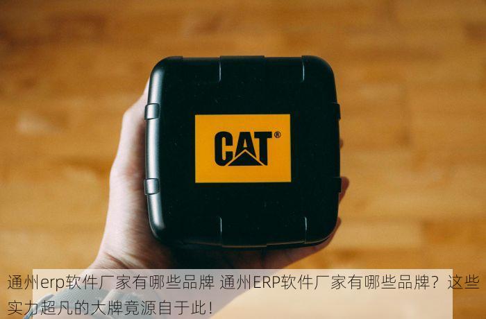 通州erp软件厂家有哪些品牌 通州ERP软件厂家有哪些品牌？这些实力超凡的大牌竟源自于此！