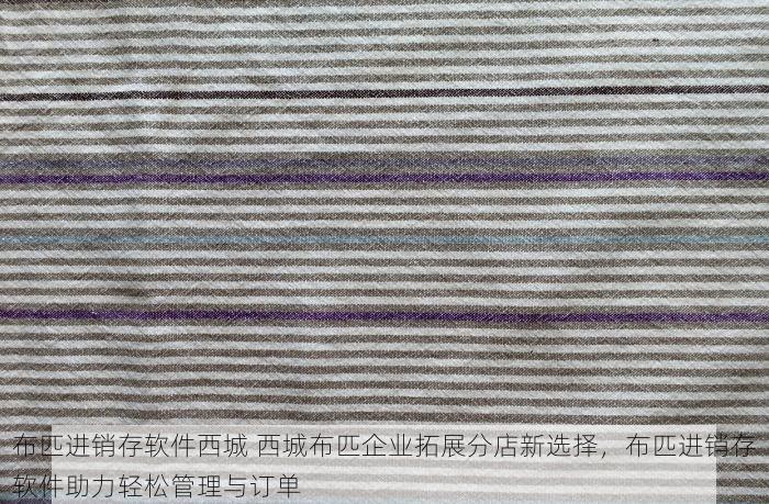 布匹进销存软件西城 西城布匹企业拓展分店新选择，布匹进销存软件助力轻松管理与订单