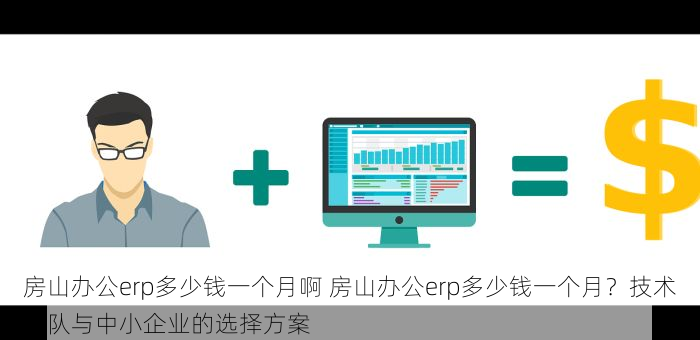房山办公erp多少钱一个月啊 房山办公erp多少钱一个月？技术团队与中小企业的选择方案