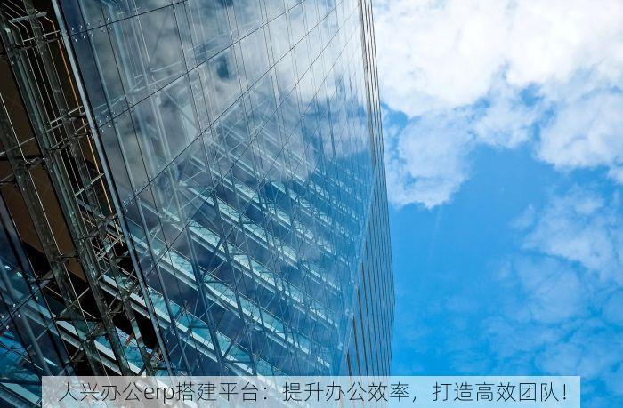 大兴办公erp搭建平台：提升办公效率，打造高效团队！