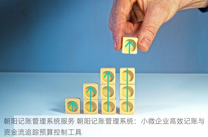 朝阳记账管理系统服务 朝阳记账管理系统：小微企业高效记账与资金流追踪预算控制工具