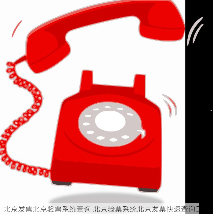 北京发票北京验票系统查询 北京验票系统北京发票快速查询工具