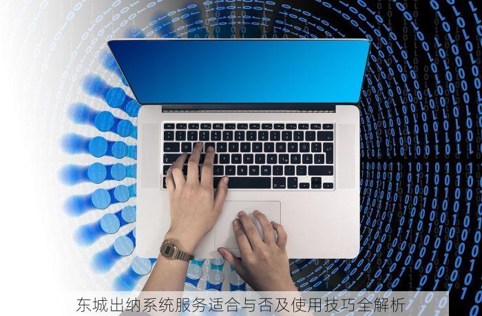 东城出纳系统服务适合与否及使用技巧全解析