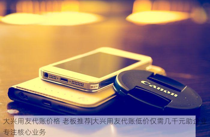大兴用友代账价格 老板推荐|大兴用友代账低价仅需几千元助企业专注核心业务