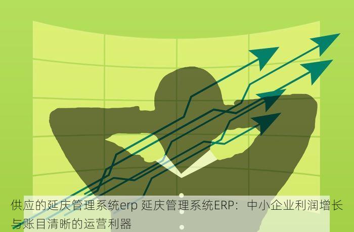 供应的延庆管理系统erp 延庆管理系统ERP：中小企业利润增长与账目清晰的运营利器