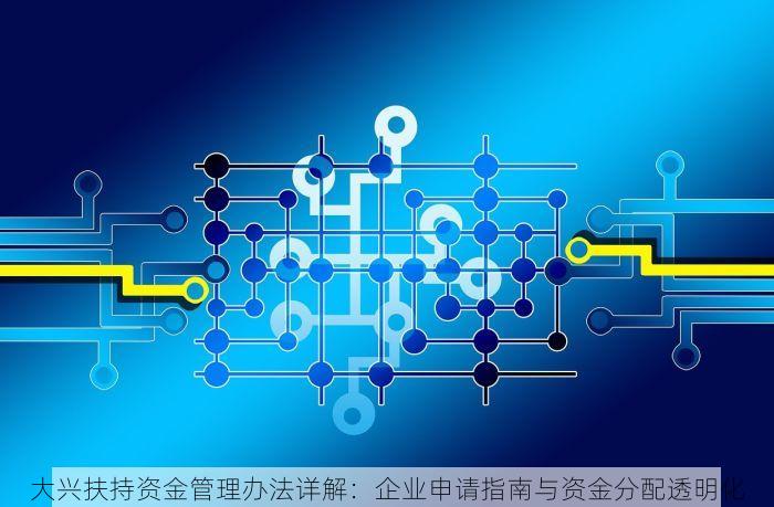大兴扶持资金管理办法详解：企业申请指南与资金分配透明化