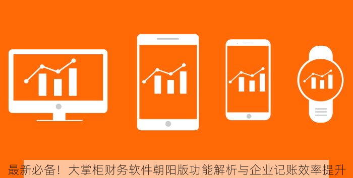 最新必备！大掌柜财务软件朝阳版功能解析与企业记账效率提升