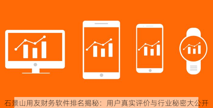 石景山用友财务软件排名揭秘：用户真实评价与行业秘密大公开