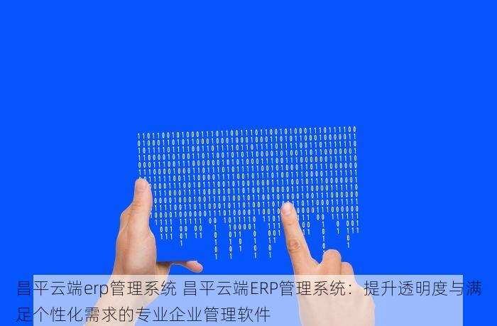 昌平云端erp管理系统 昌平云端ERP管理系统：提升透明度与满足个性化需求的专业企业管理软件