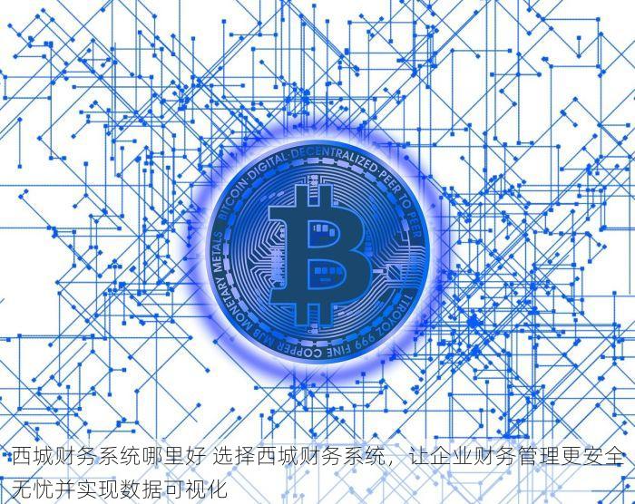 西城财务系统哪里好 选择西城财务系统，让企业财务管理更安全无忧并实现数据可视化