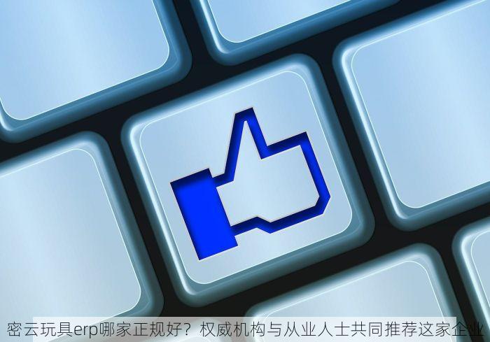 密云玩具erp哪家正规好？权威机构与从业人士共同推荐这家企业